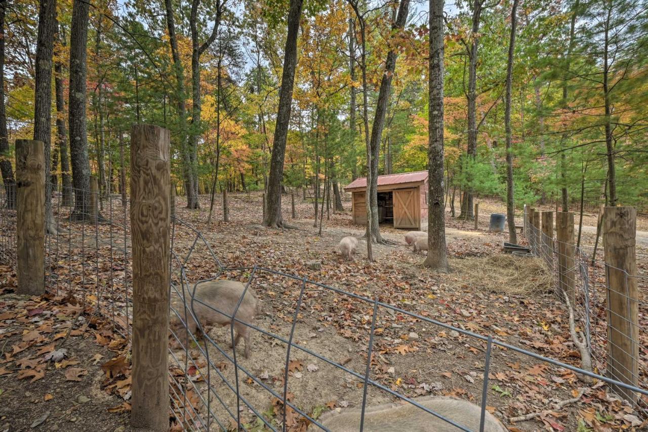 Cheyenne Ranch Apt With 50 Acres By Raystown Lake 亨丁顿 外观 照片